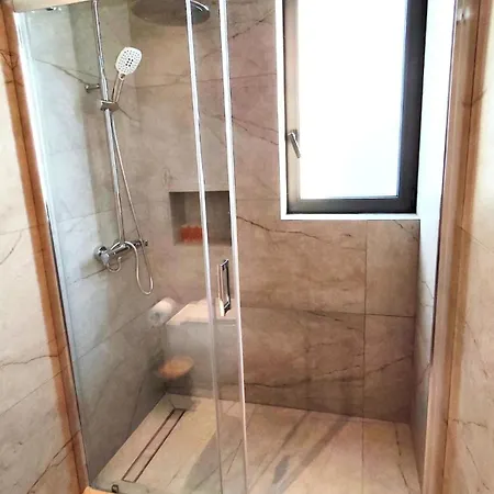 Zantis Executive 202